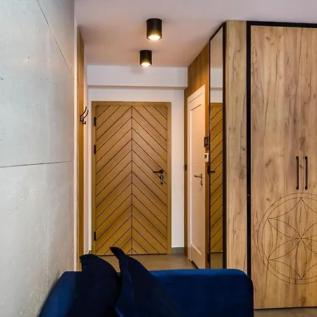 شقة فندقية Gold Apartmenty زاكوباني