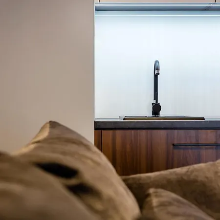 شقة فندقية Gold Apartmenty زاكوباني